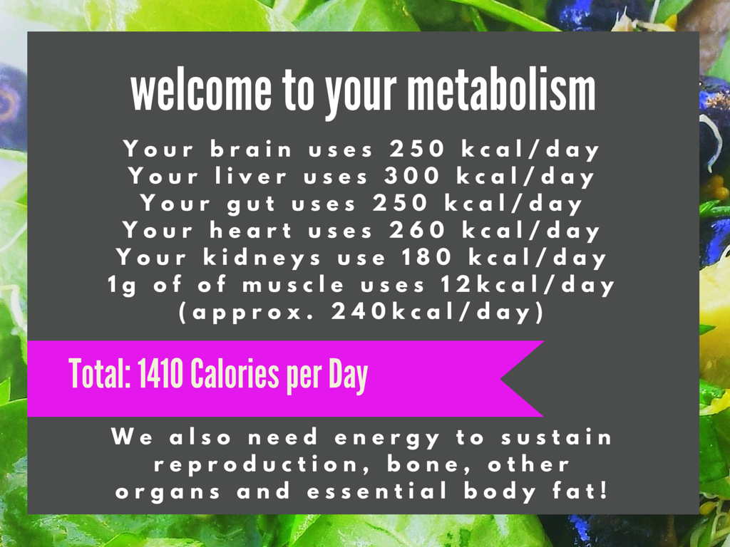 Your metabolism