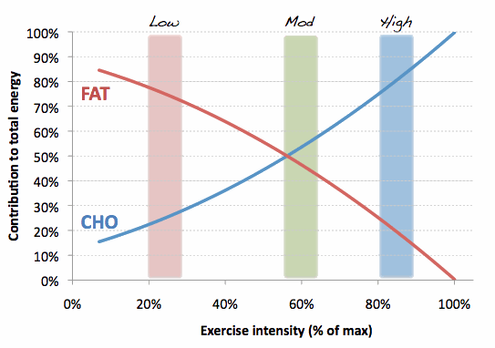 Fat-and-CHO-use-with-ex-intensity1
