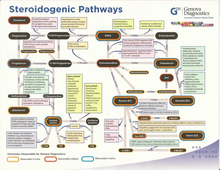 steroidogenic-pathway